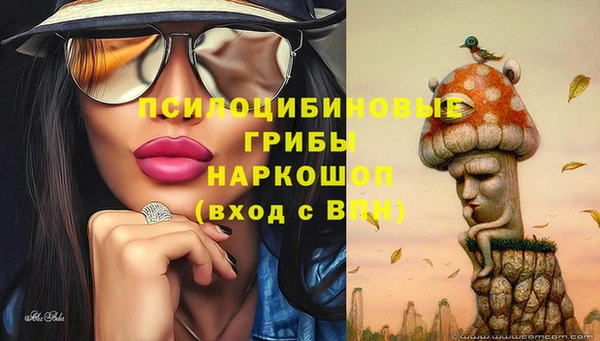 прущая мука Богородицк