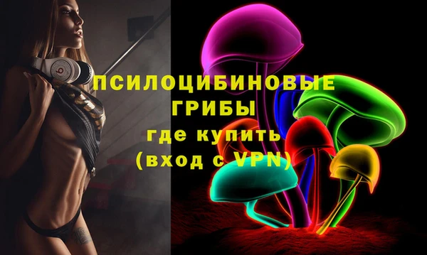 прущая мука Богородицк
