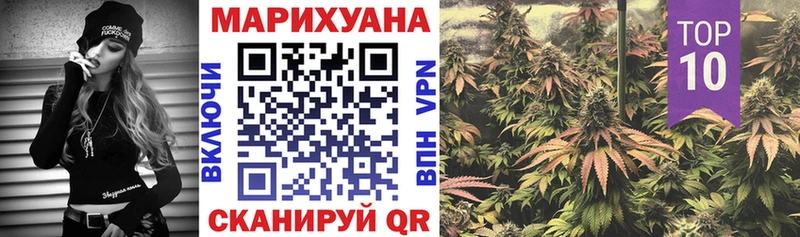 Бошки марихуана ГИДРОПОН  MEGA как войти  Карабаново 